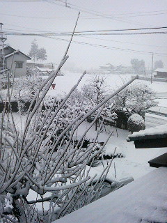 200912311031000.jpg